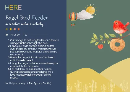Preview of the Bagel Bird Feeder Postcard activity