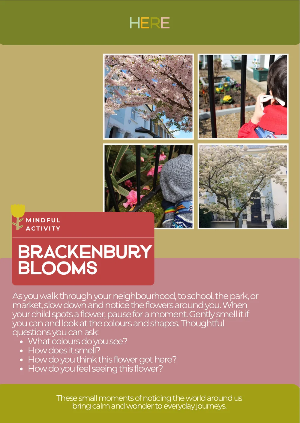 The first page of Brackenbury Blooms