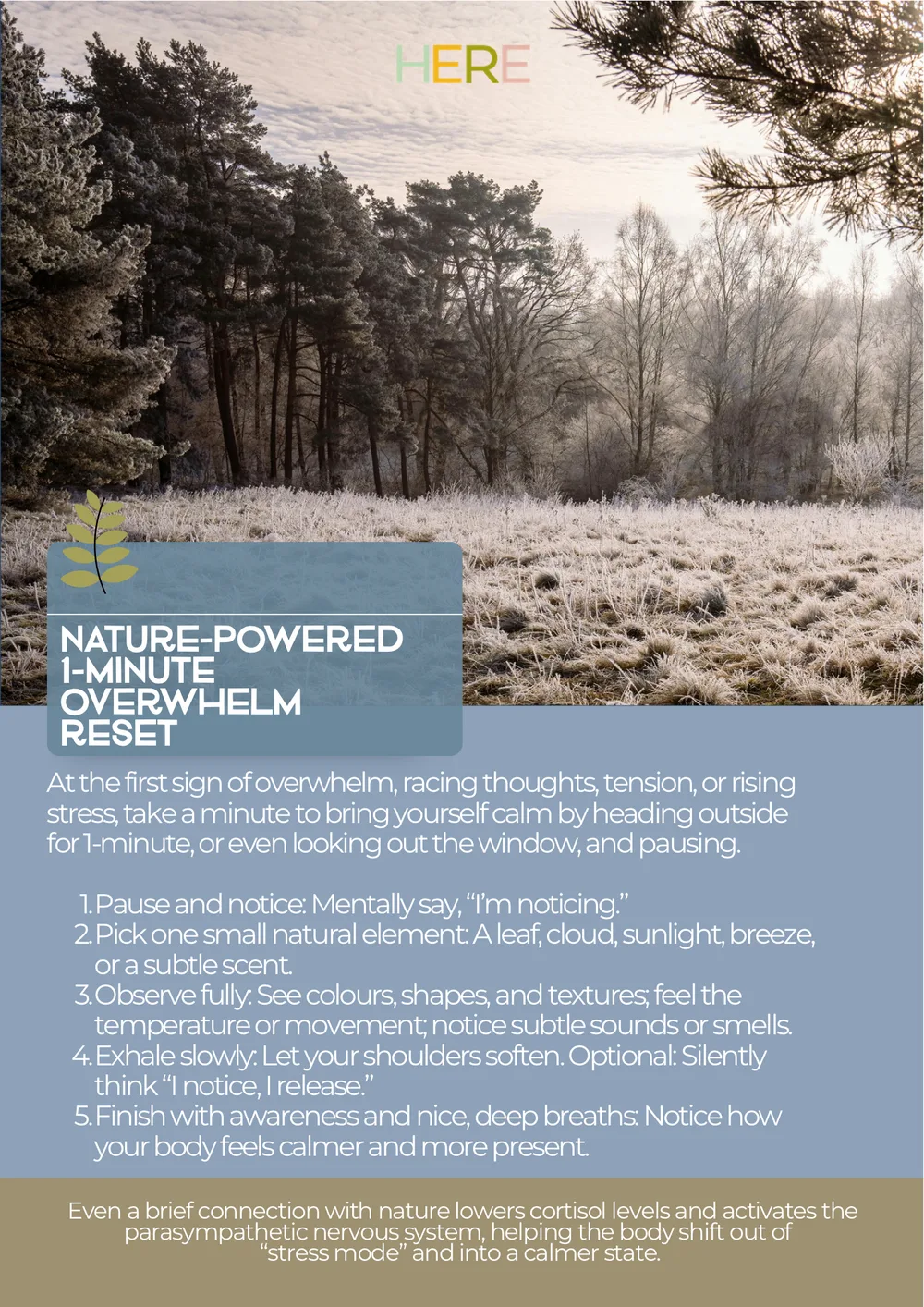 The first page of Calm Frosty Lake Overwhelm Nature Pause