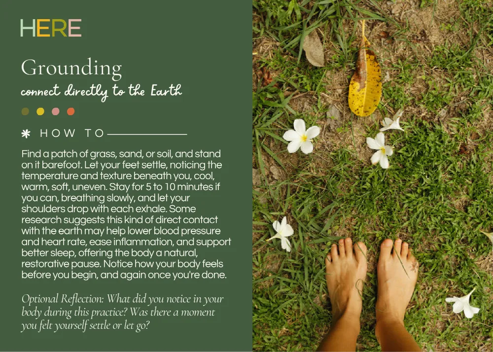 The first page of Ground & Connect To The Earth