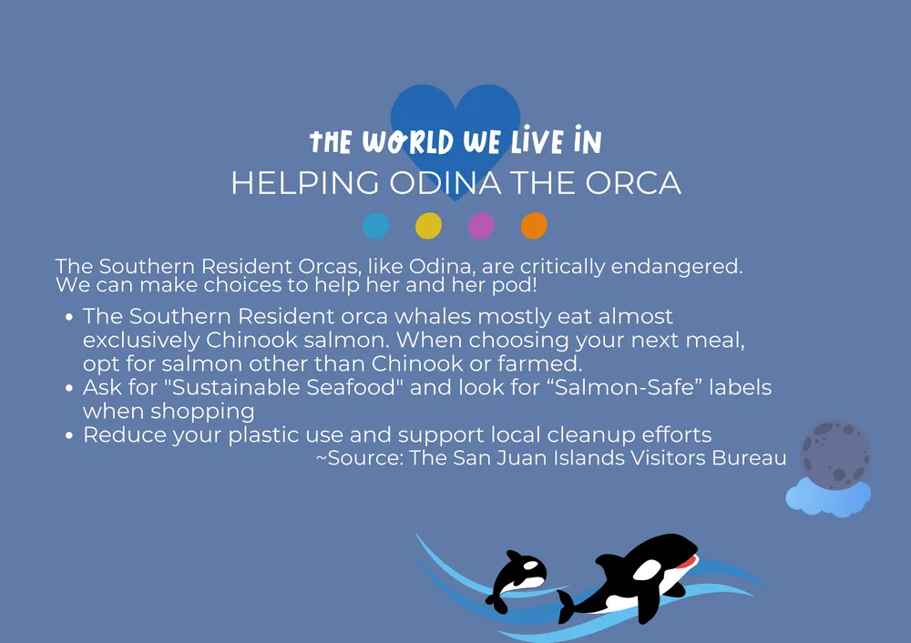 The first page of Helping Odina Orca