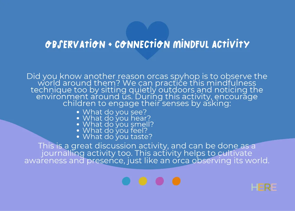 The first page of Mindful Observation