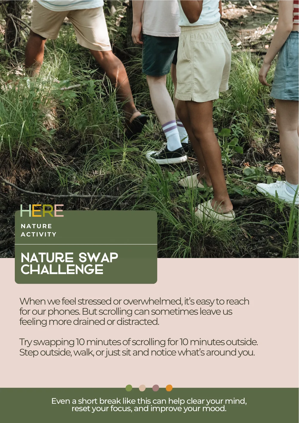 The first page of Nature Swap Challenge