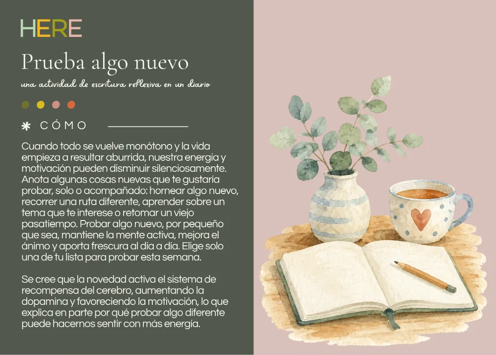 The first page of Prueba algo nuevo