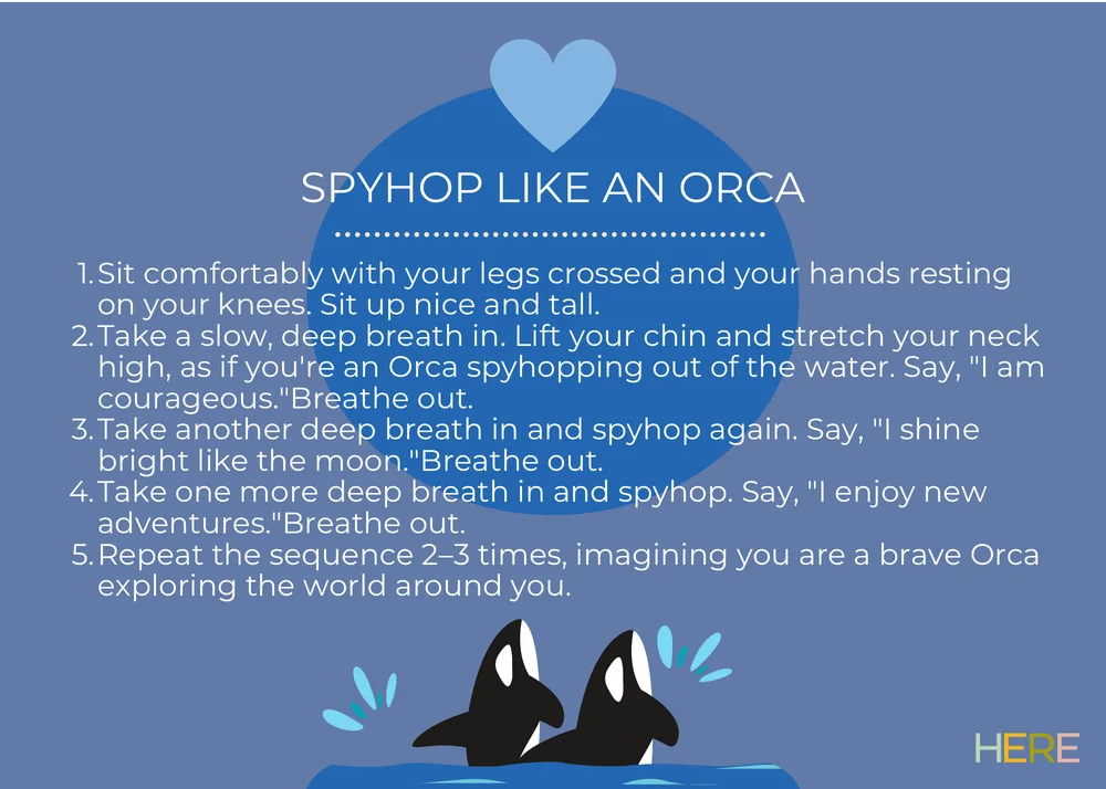 The first page of Spyhop Like An Orca