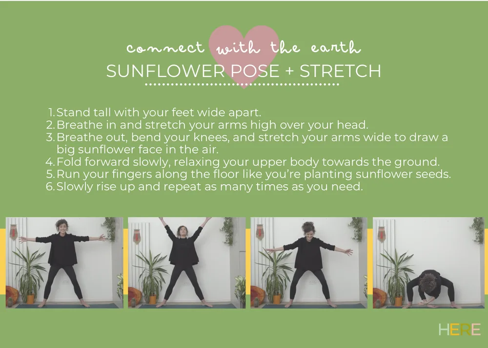 The first page of Sunflower Pose