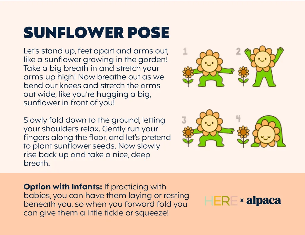 The first page of Sunflower Pose